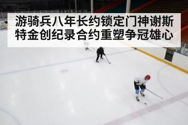 ice hockey rink